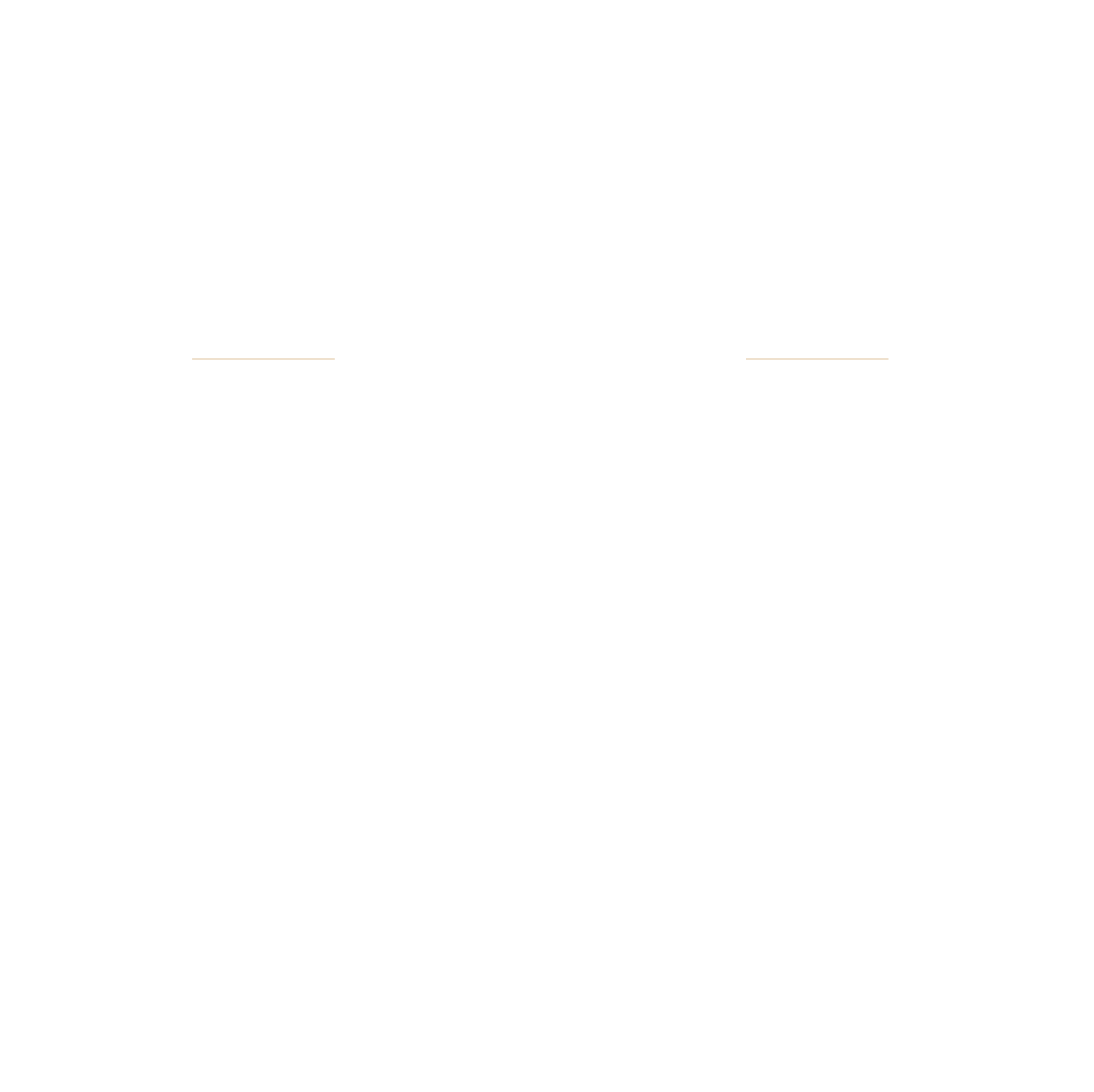 Lara motors